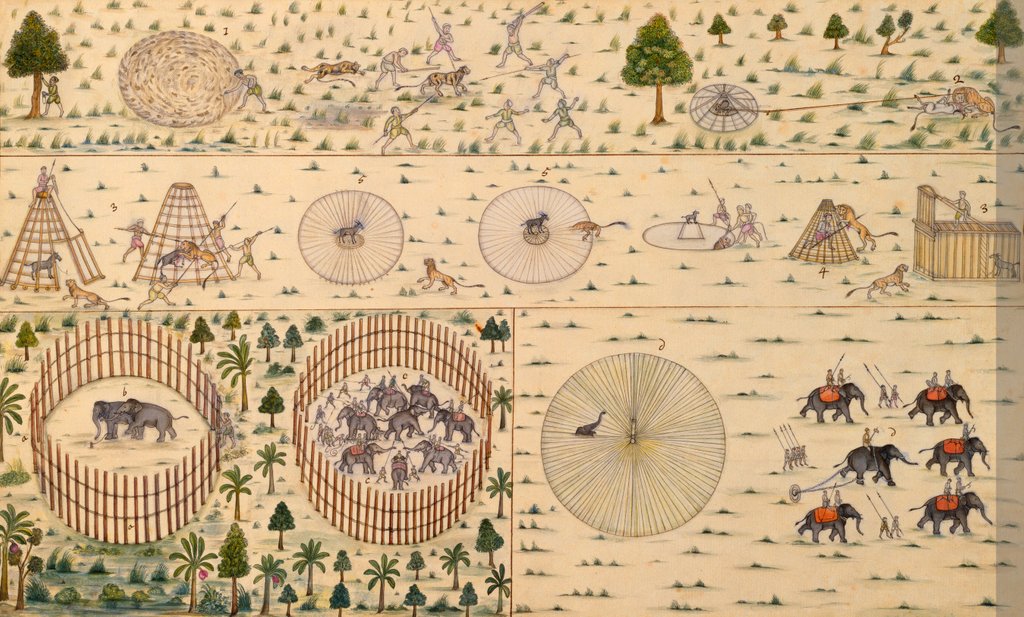 Detail of Traps for capturing tigers and elephants by Unknown