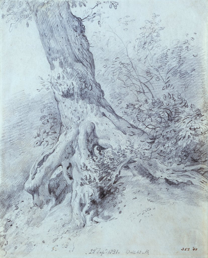 Detail of The Root of a Tree at Hampstead by John Constable