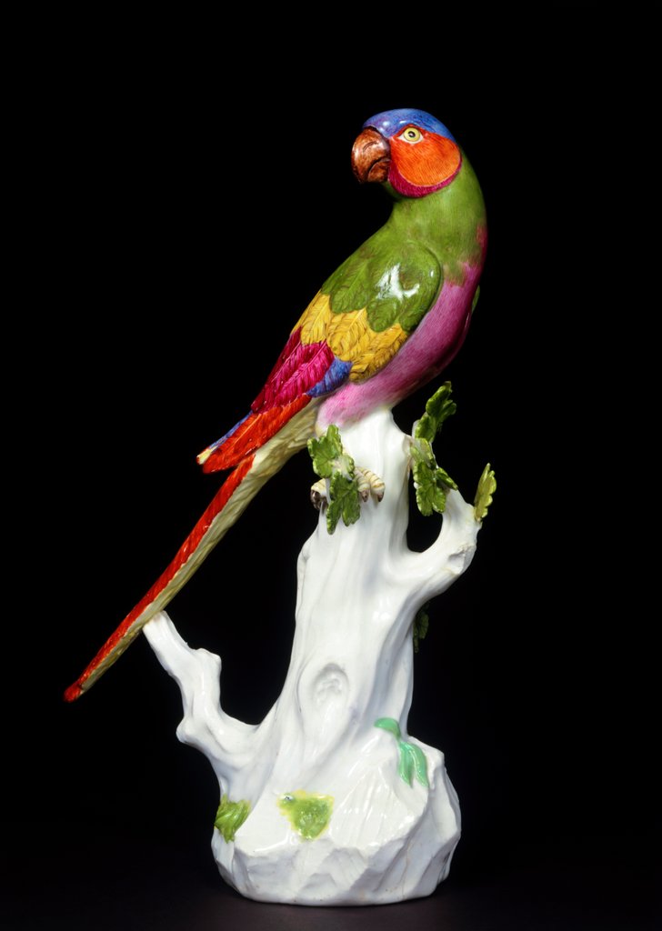 Detail of Long Tailed Parrot by Johann Joachim Kändler
