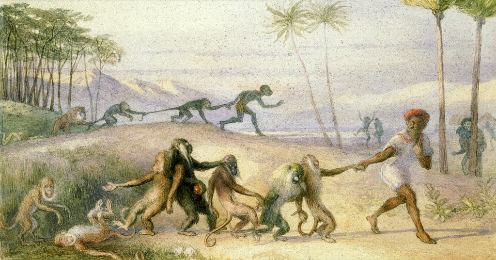 Detail of The Manners and Customs of Monkeys by Richard Doyle