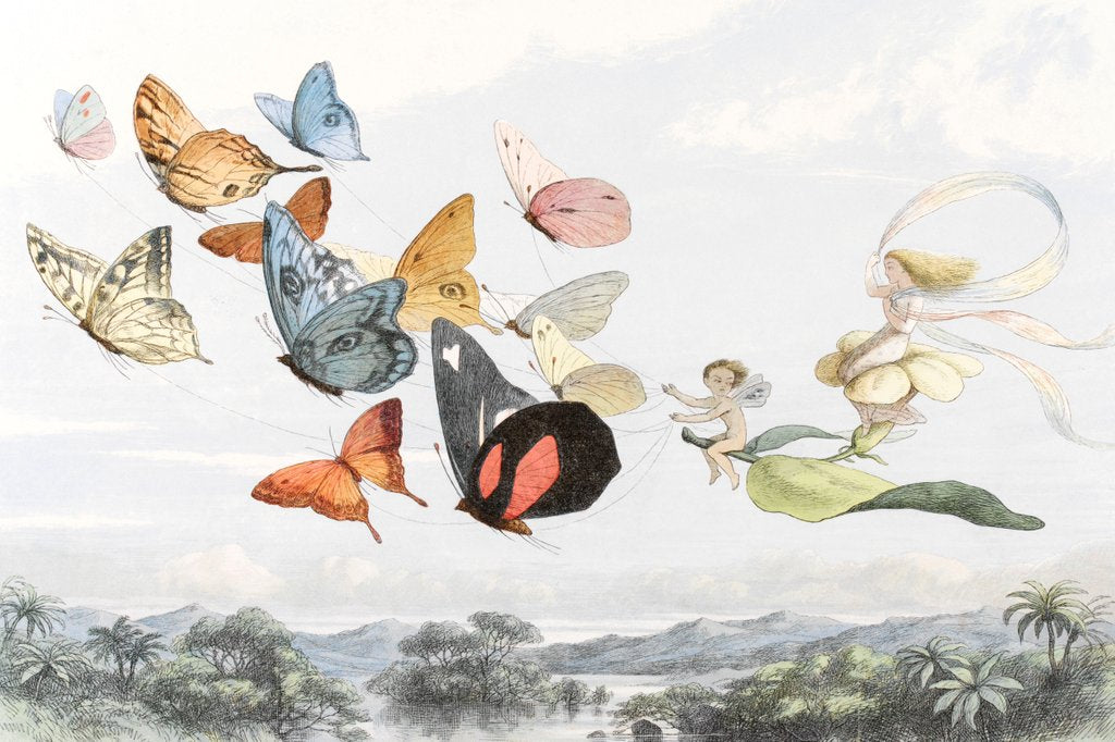 Detail of The Fairy Queen takes an airy drive in a light carriage by Richard Doyle