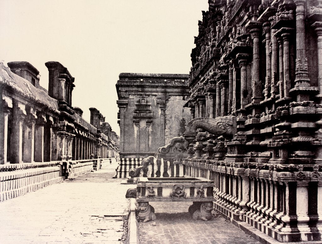 Detail of Sacred cistern and water spout belonging to the Subrahmanya Temple by Captain Linnaeus Tripe