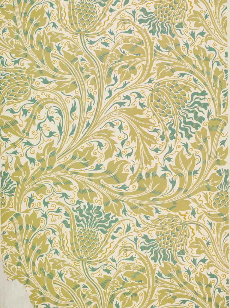 Detail of Animal study by Unknown