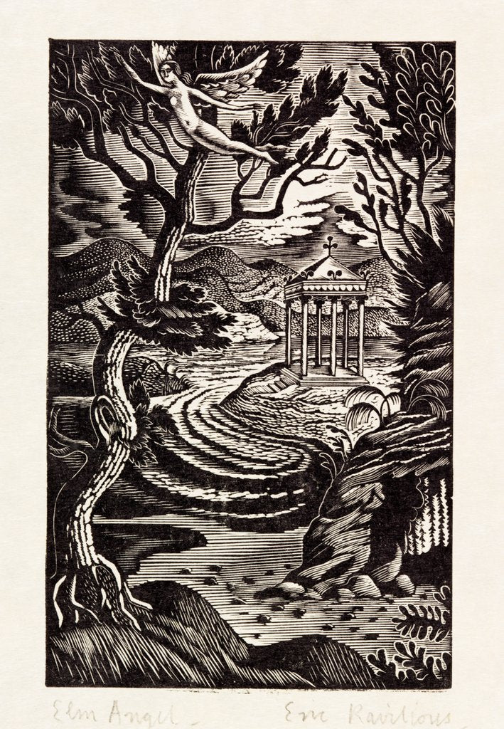 Detail of Elm Angel by Eric Ravilious