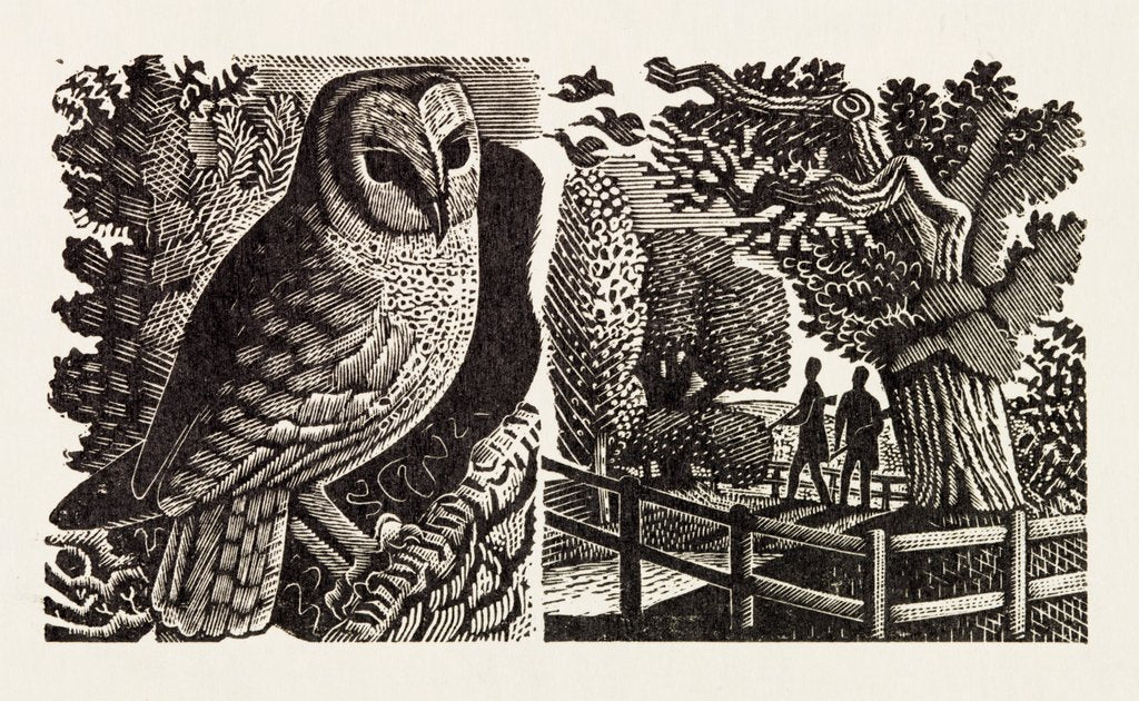 Eric Ravilious Star Illustration posters & prints by Eric Ravilious