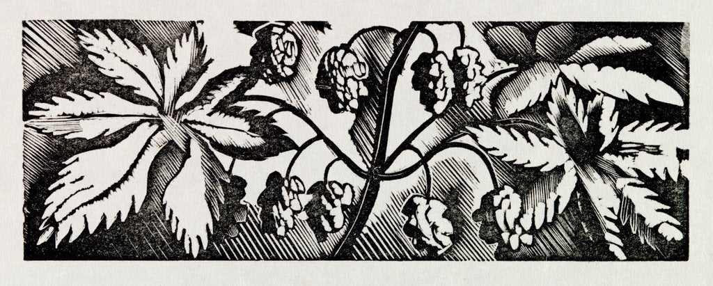 Detail of Illustration by Eric Ravilious