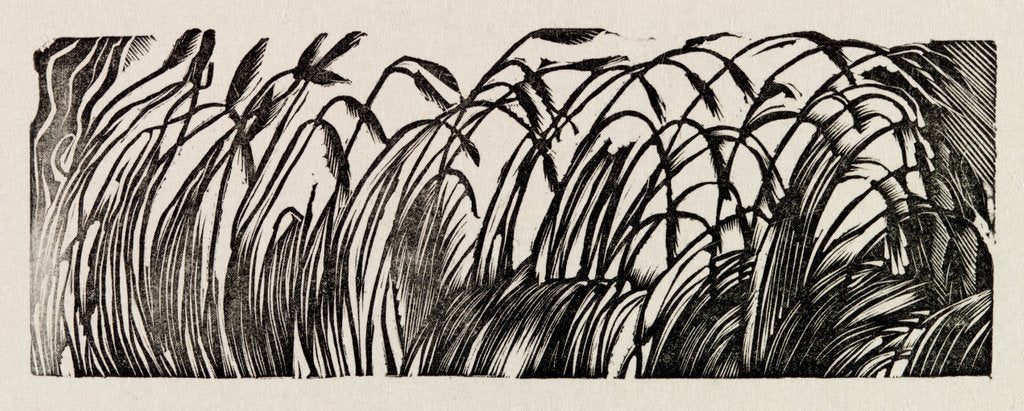 Detail of Illustration by Eric Ravilious