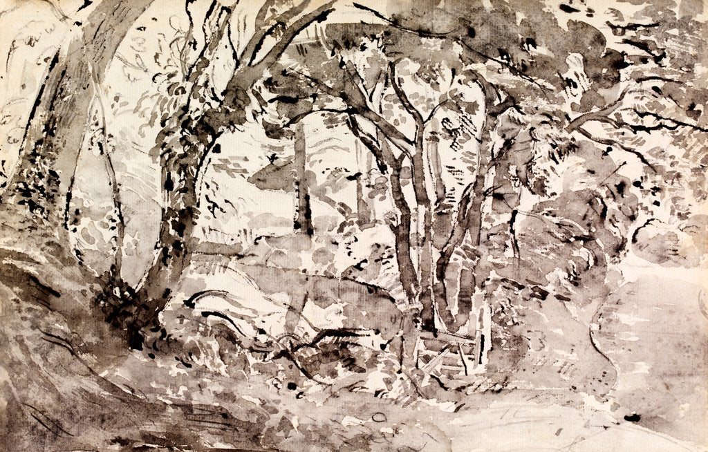 Detail of Rimmer's Pond, Ridley by Thomas Hennell