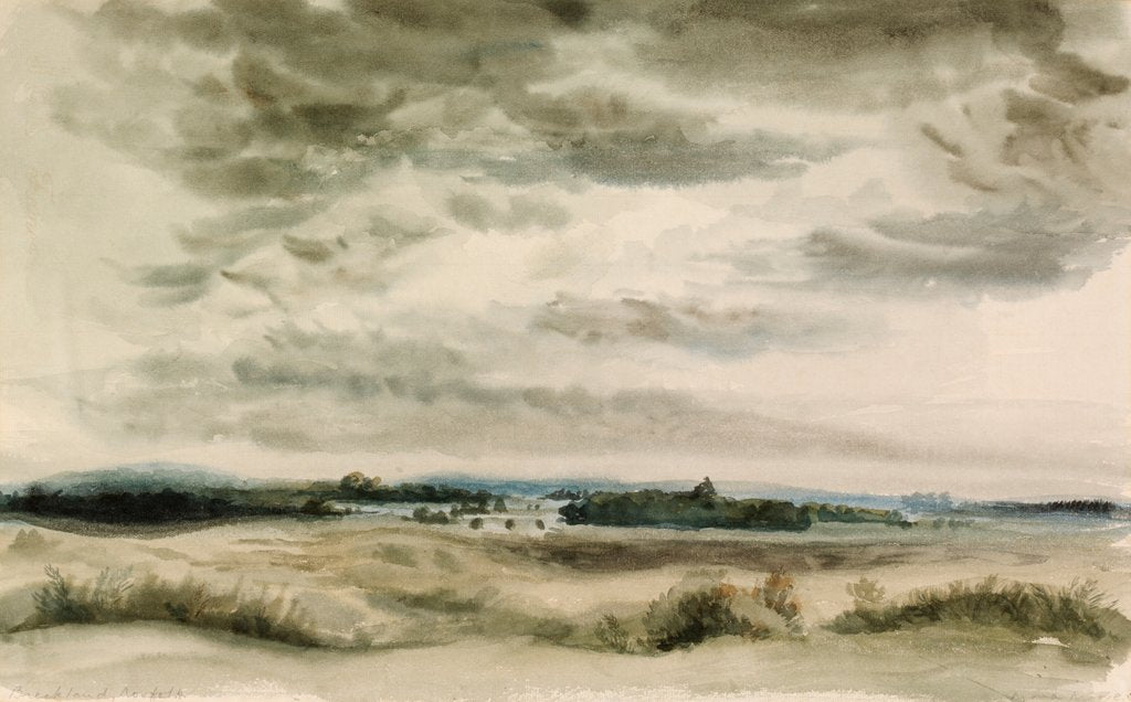 Detail of Breckland by Mona Moore