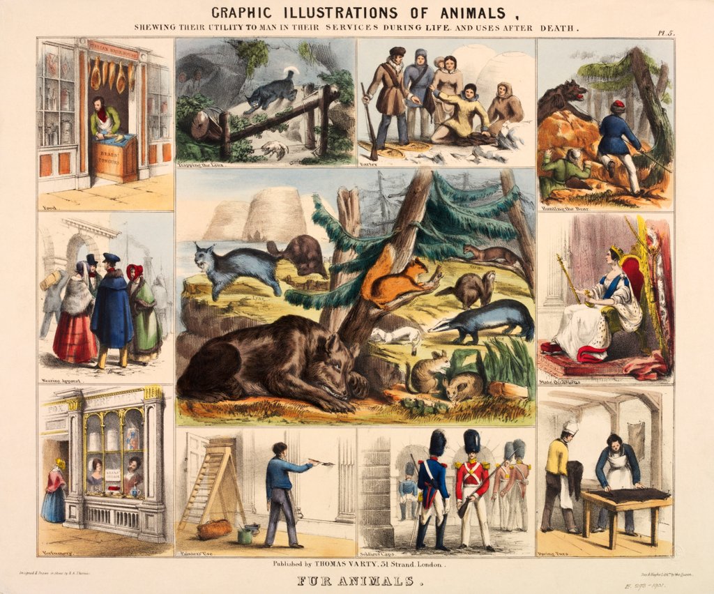 Detail of Fur Animals by Thomas Varty