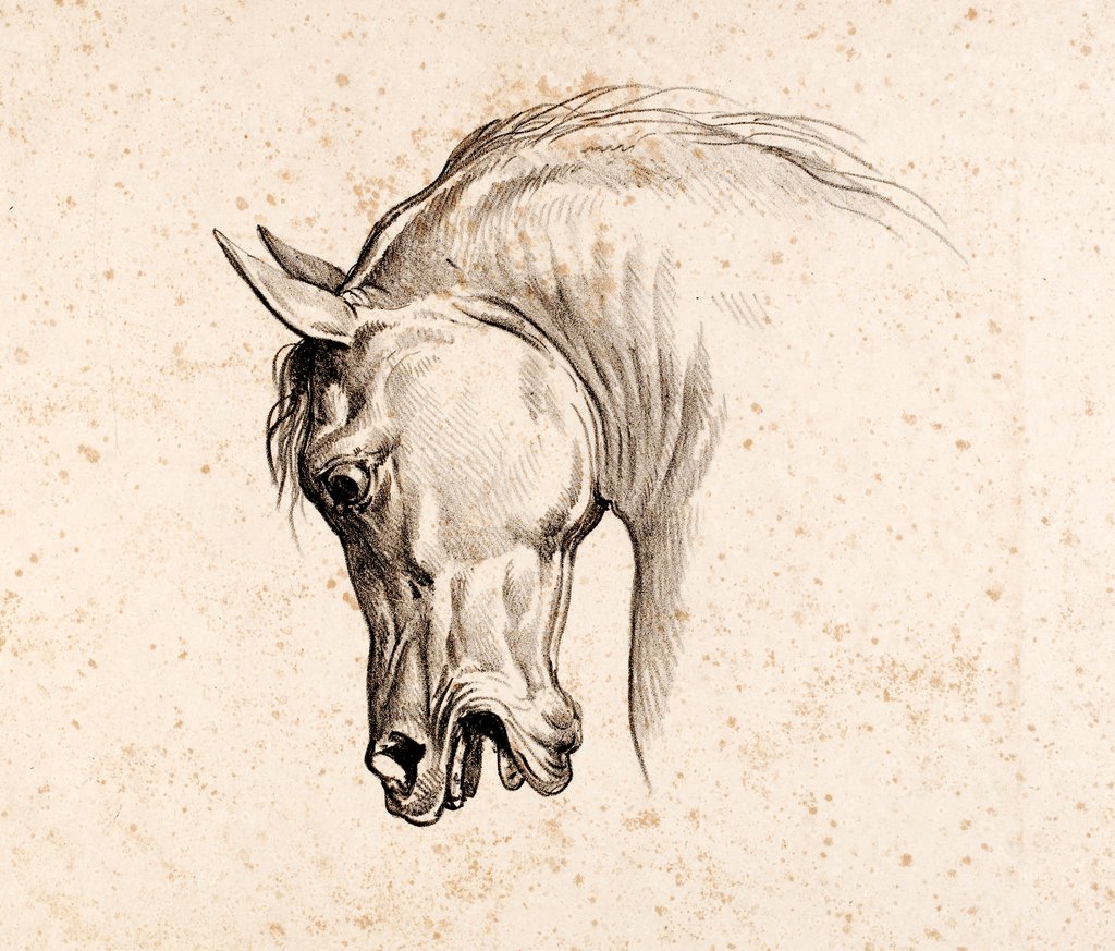 Detail of Print depicting a horse by Carle Vernet