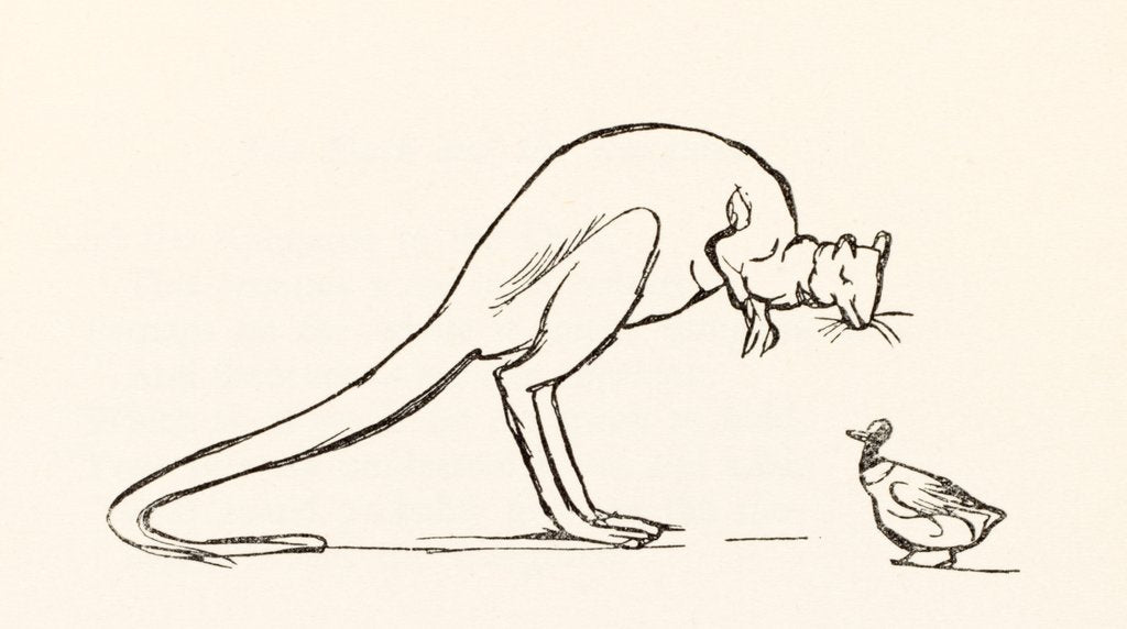 Detail of A B C Lear Alphabet by Edward Lear