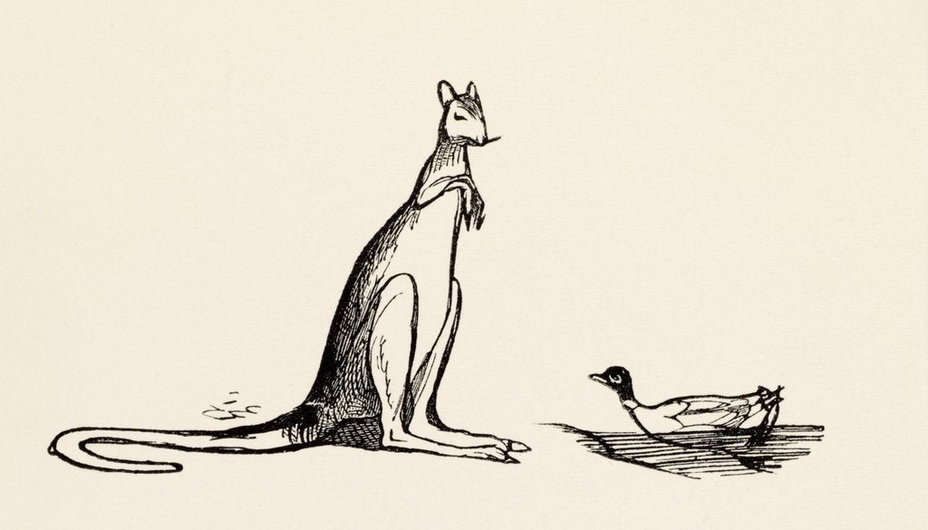Detail of A B C Lear Alphabet by Edward Lear