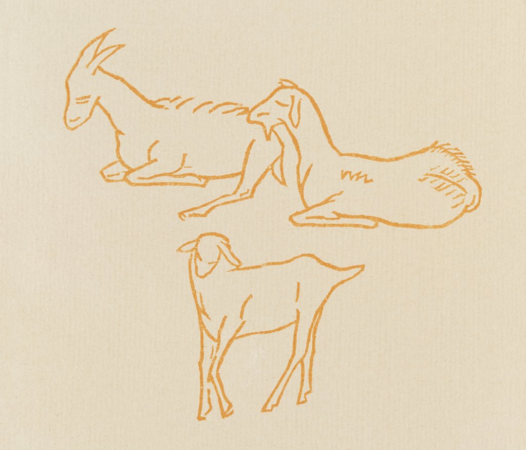 Detail of Goats by Aristide Maillol