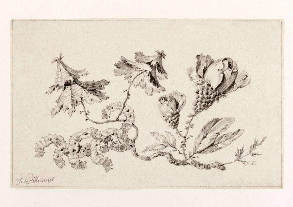 Detail of Chinese-style fantastic flowers by Jean Pillement