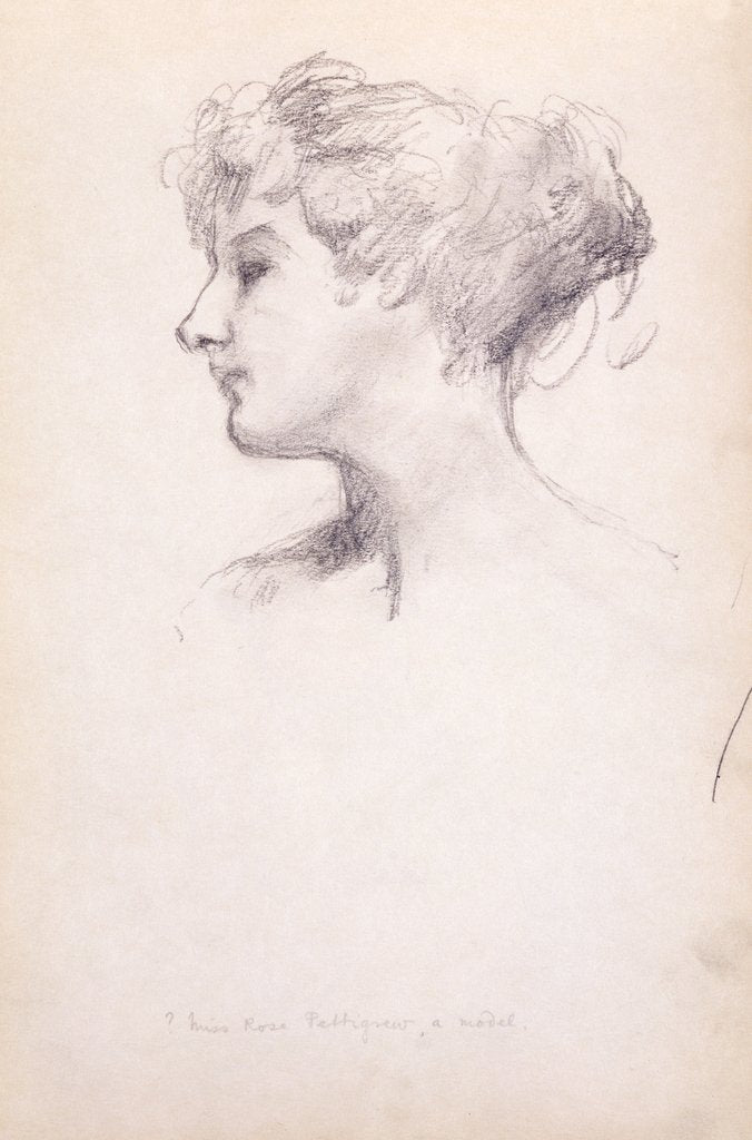 Detail of Rose Pettigrew by Philip Wilson Steer