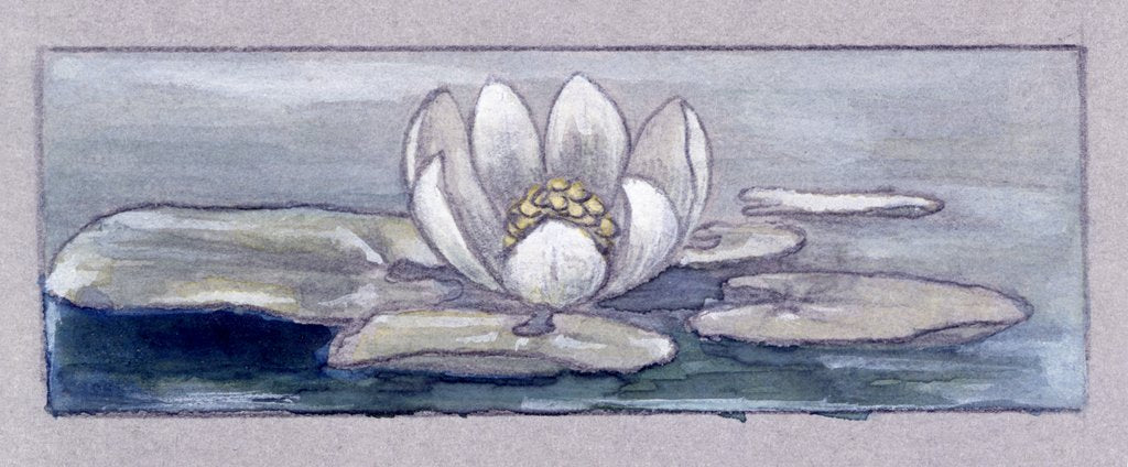 Detail of Waterlily by Charles Robert Ashbee