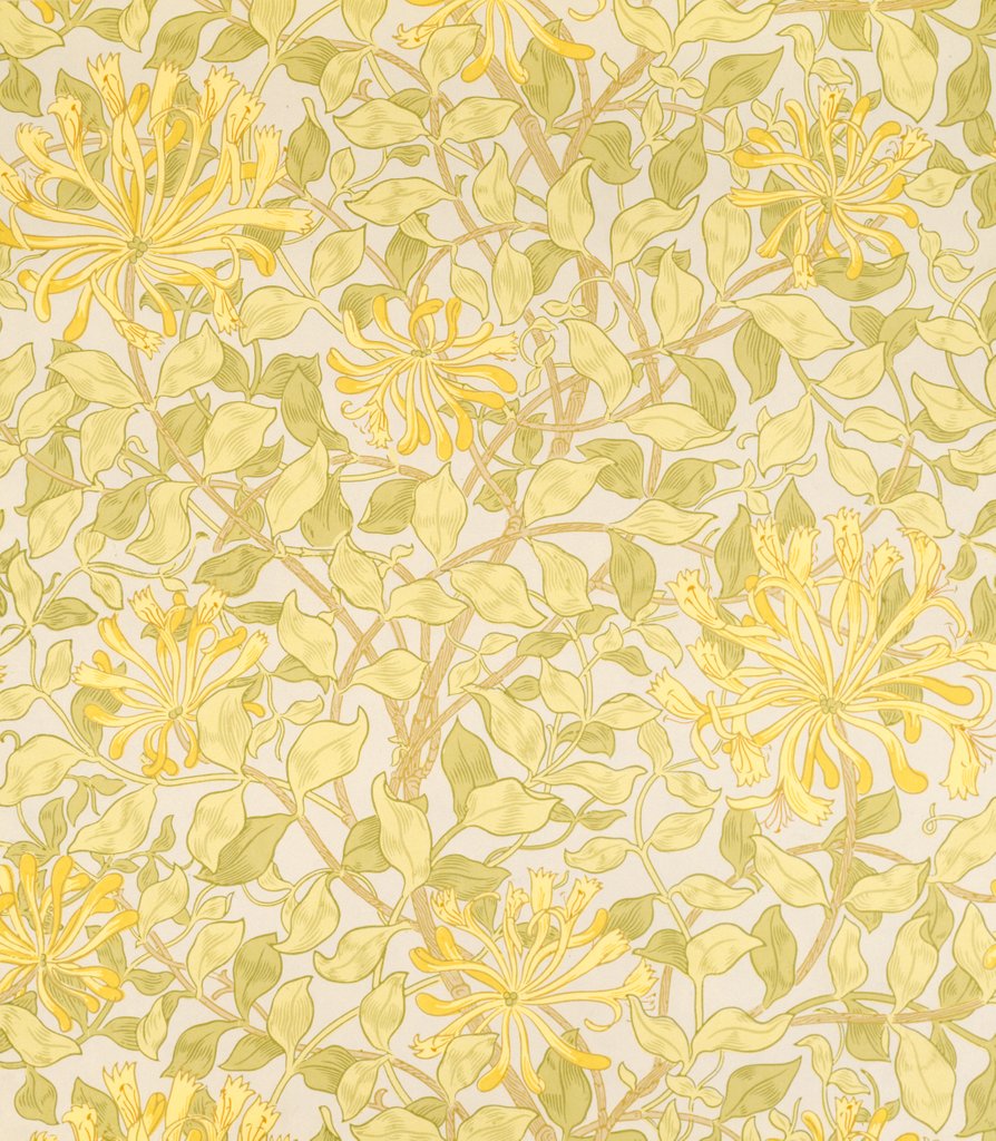 Detail of Honeysuckle wallpaper by Mary Morris