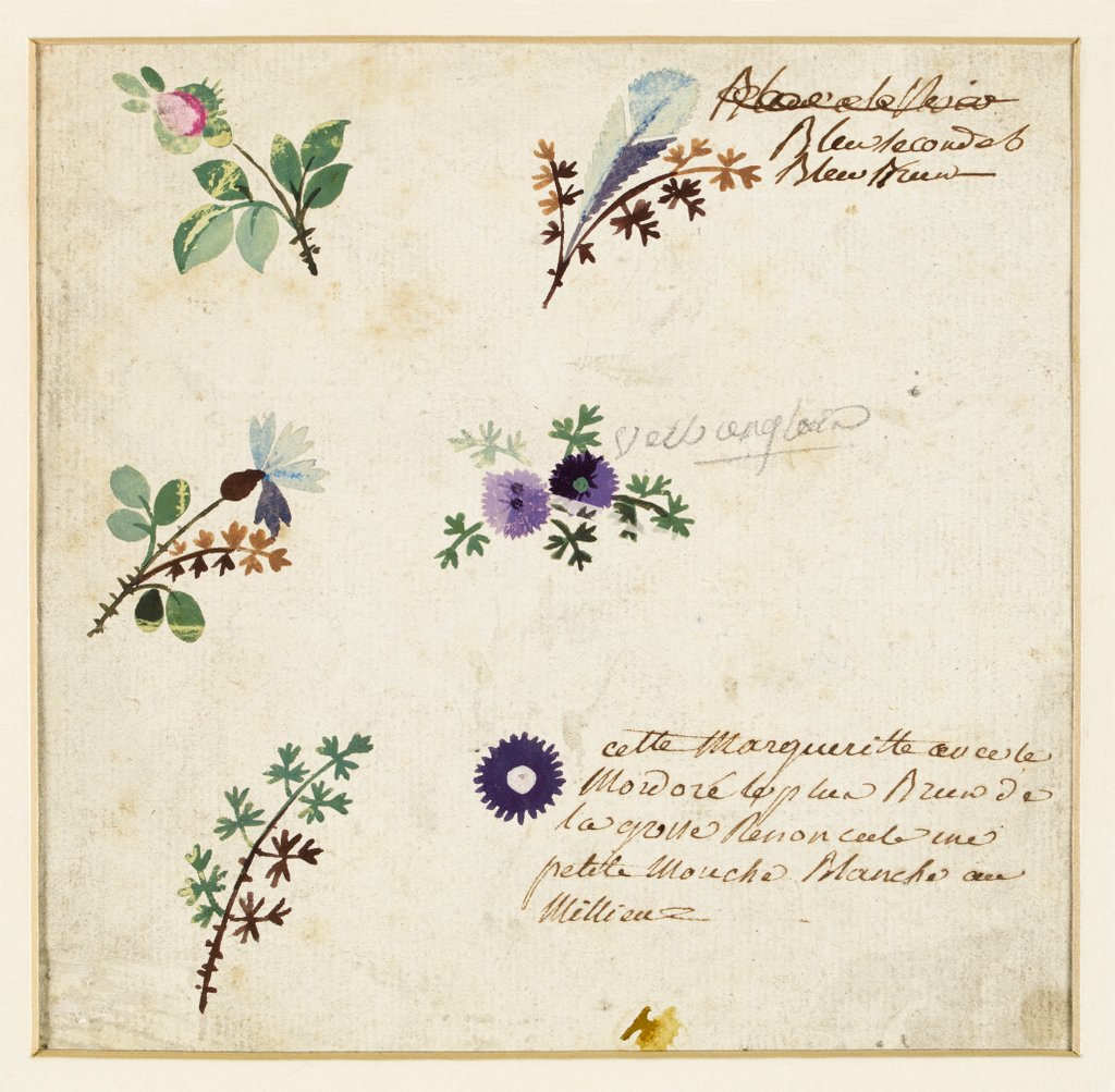 Detail of Design for embroidery on men's waistcoats by Jean Pillement