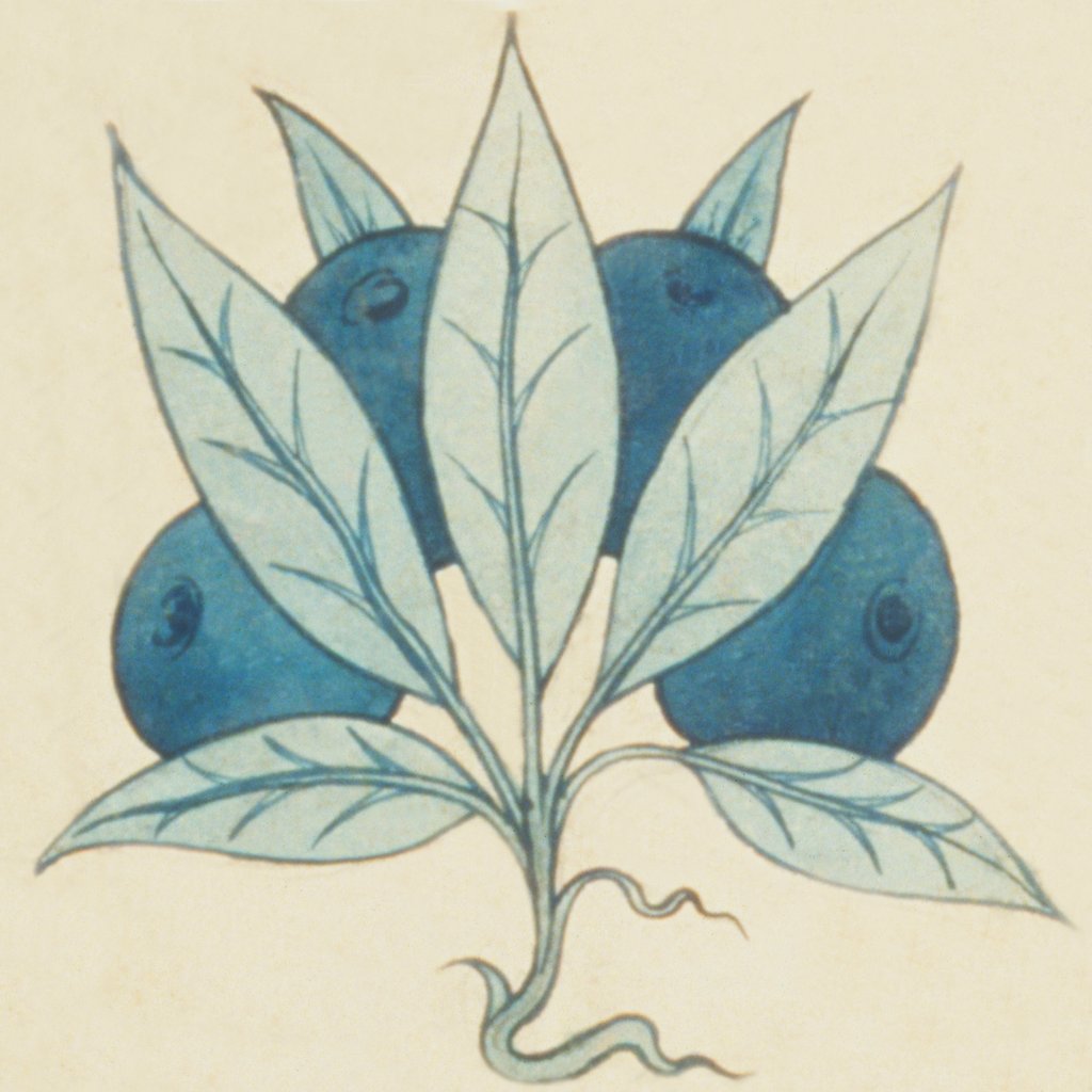 Detail of Design of tile by William de Morgan