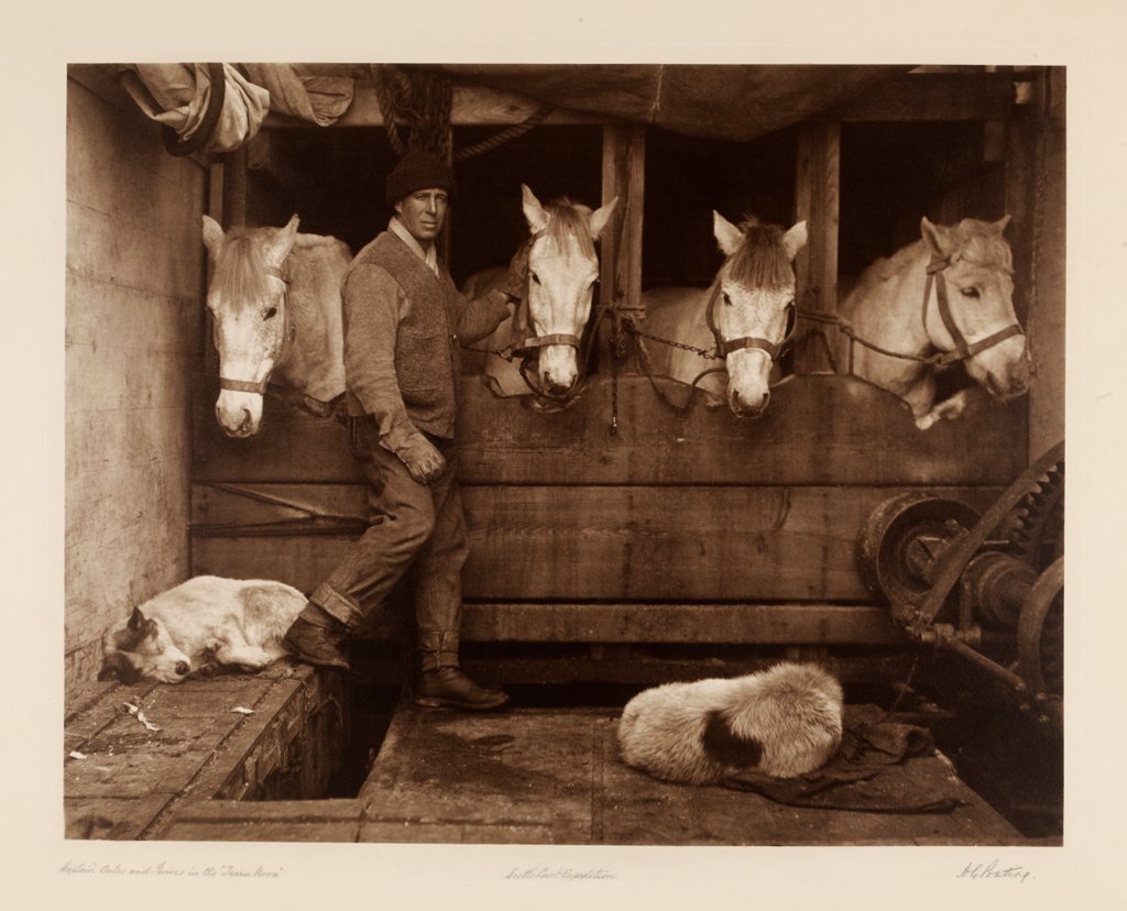 Detail of Captain Oates, expedition team member, with ponies and dogs by Herbert George Ponting
