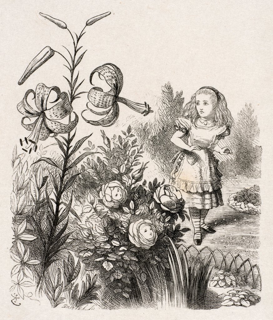 Detail of Alice and the Flowers by Dalziel Brothers