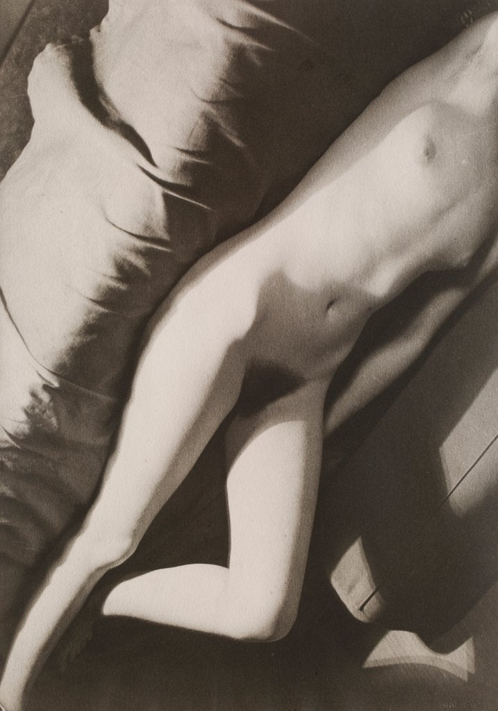 Detail of Akt Negativ, from Akt Positiv-Akt Negativ by László Moholy-Nagy