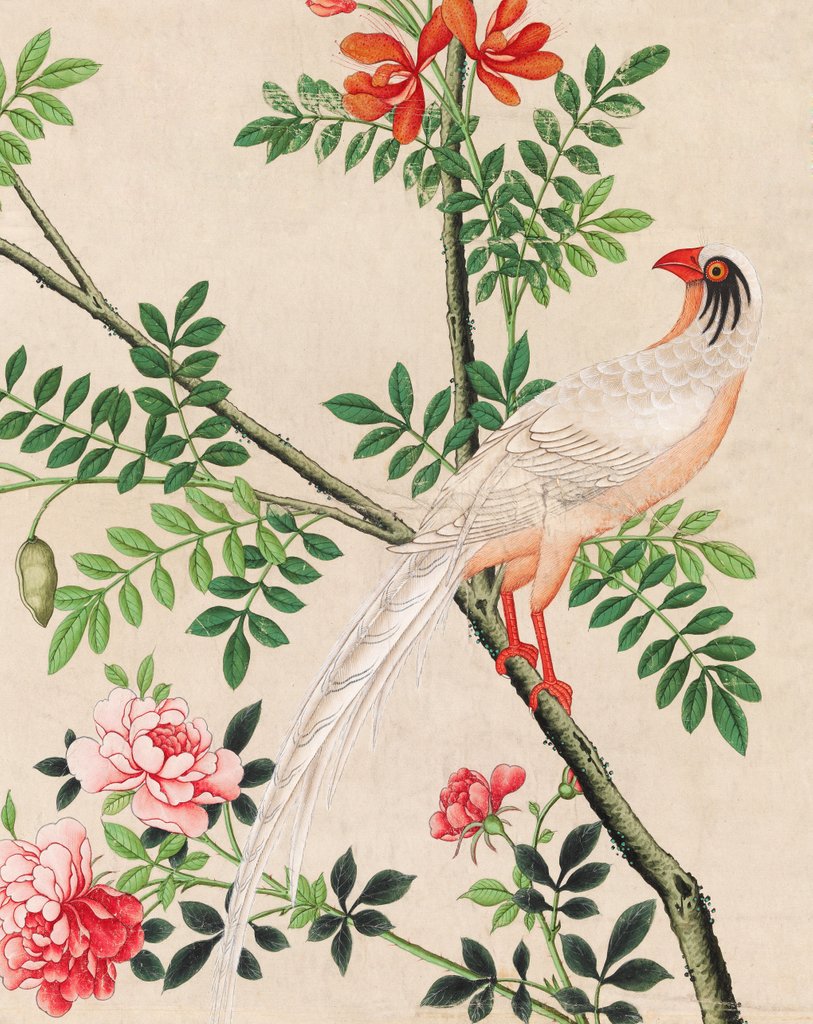 Detail of Wallpaper with white pheasant perching on branch by unknown