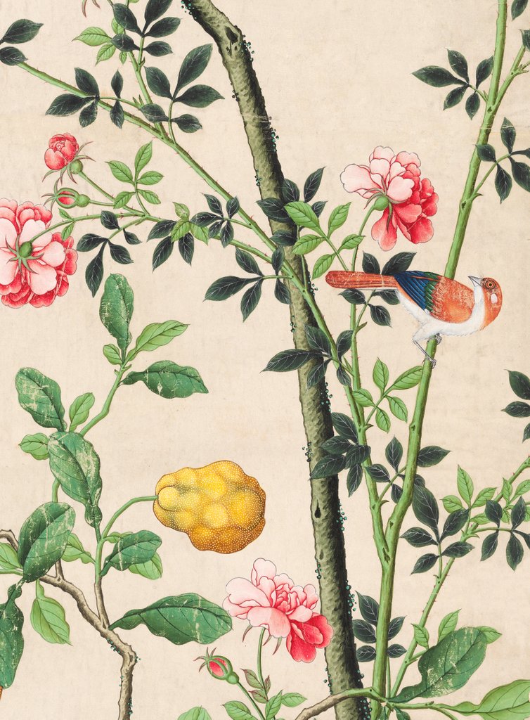 Detail of Wallpaper with small bird on branch beside a large yellow fruit by unknown