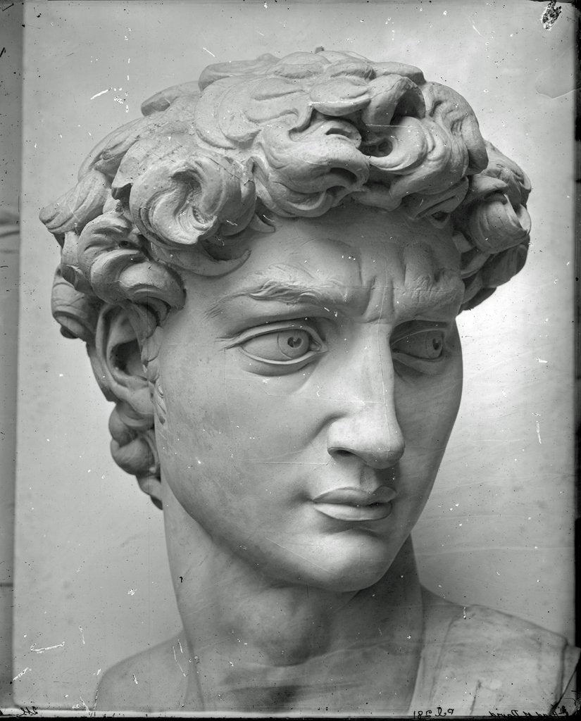 Detail of Cast of the head of Michelangelo's David in the Accademia di Belle Arte, Florence by Isabel Agnes Cowper