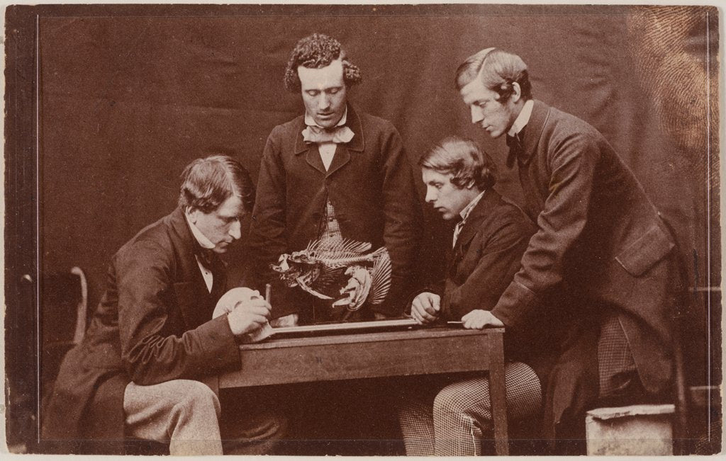 Detail of The Anatomy Lesson with Dr by Charles Lutwidge Dodgson