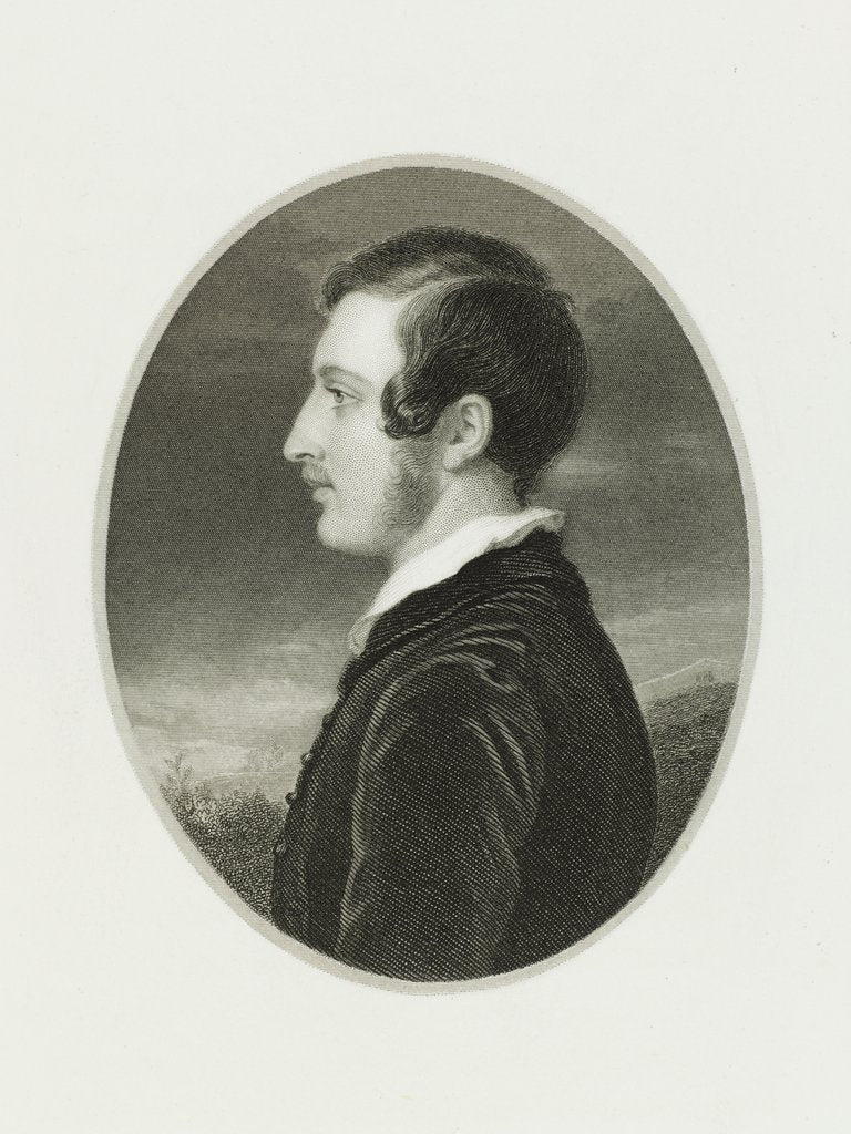 Detail of Prince Albert at the age of twenty by Anonymous