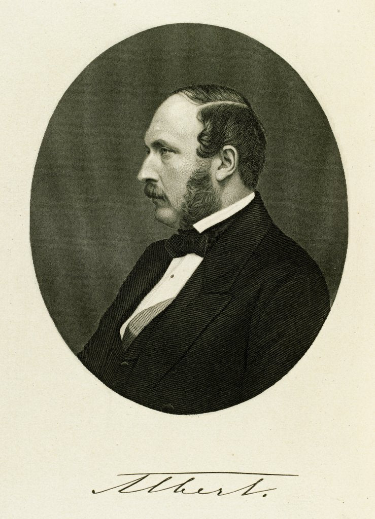 Detail of Prince Albert by William Holl
