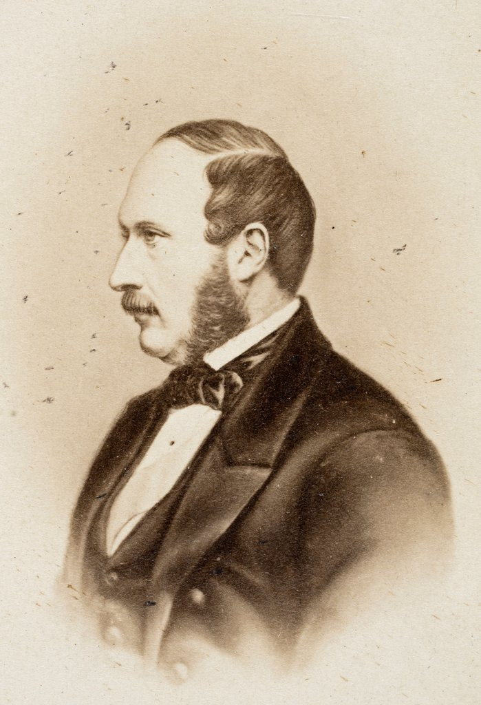 Detail of Prince Albert by Samuel E. Poulton