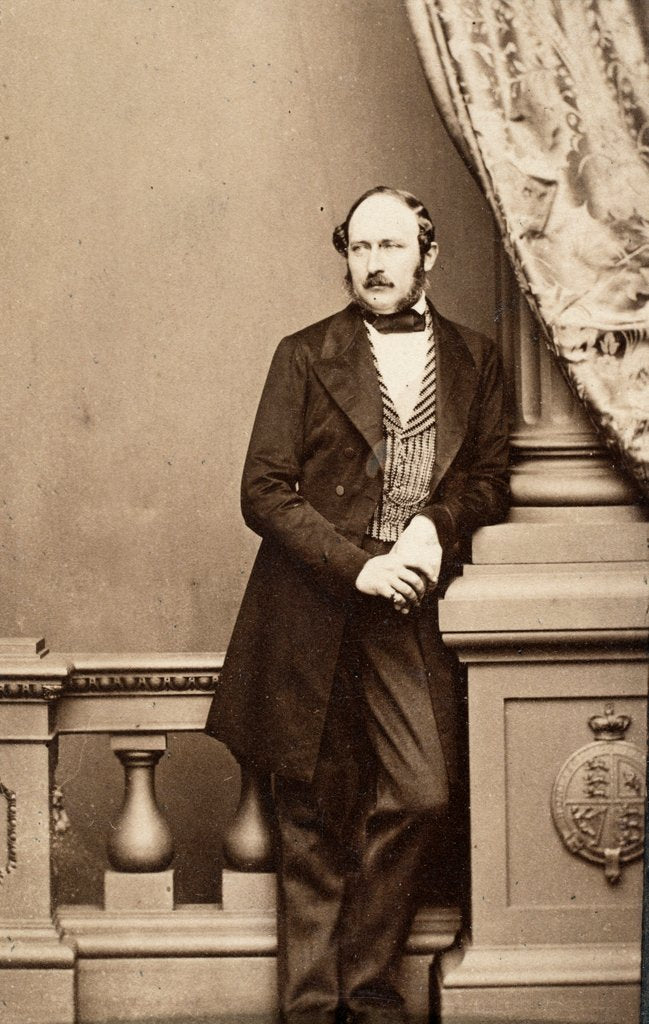 Detail of Prince Albert by John Jabez Edwin Mayall