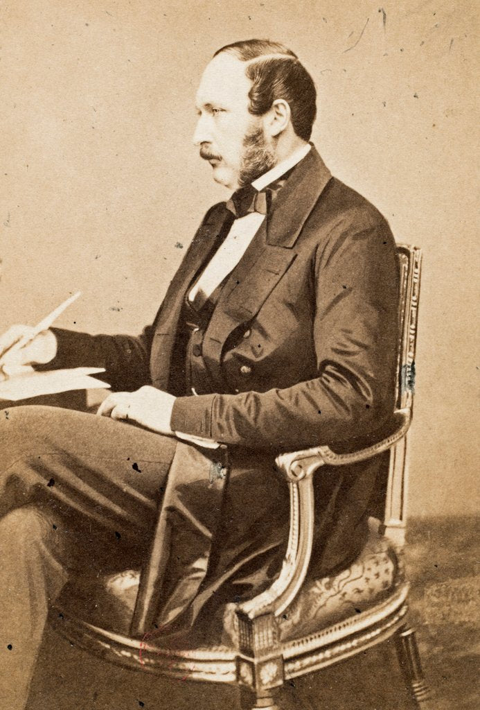 Detail of Prince Albert by John Jabez Edwin Mayall