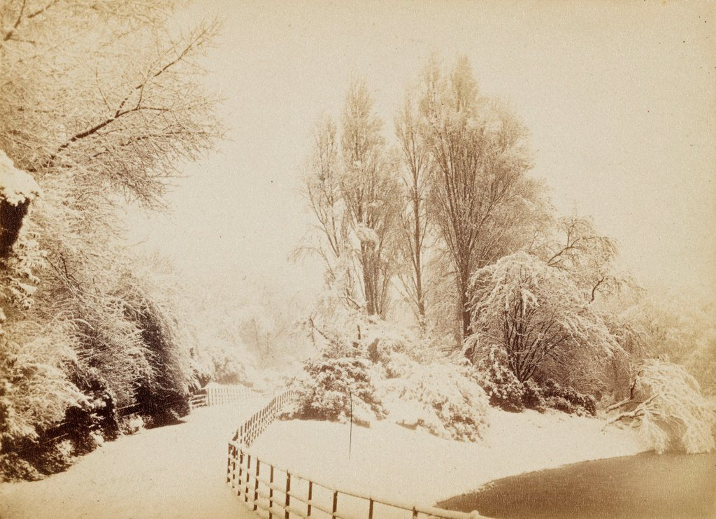 Detail of Snowfall in March, in Battersea Park by Paul Martin