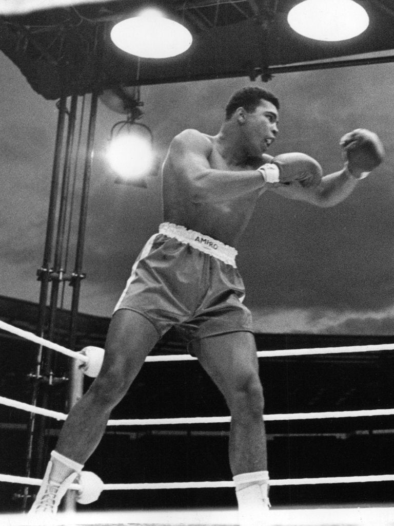 Detail of Muhammad Ali, boxer, 1963 by Associated Newspapers