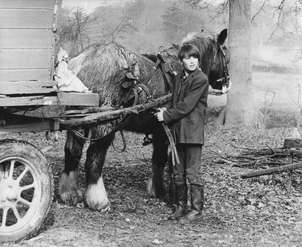Detail of Young gypsy with a horse, 1960s by Tony Boxall