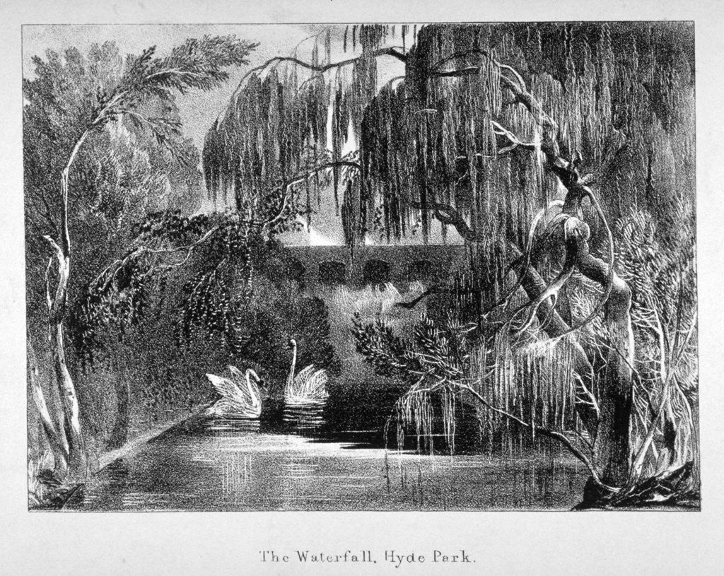 Detail of View of a waterfall and two swans in Hyde Park, London by Anonymous