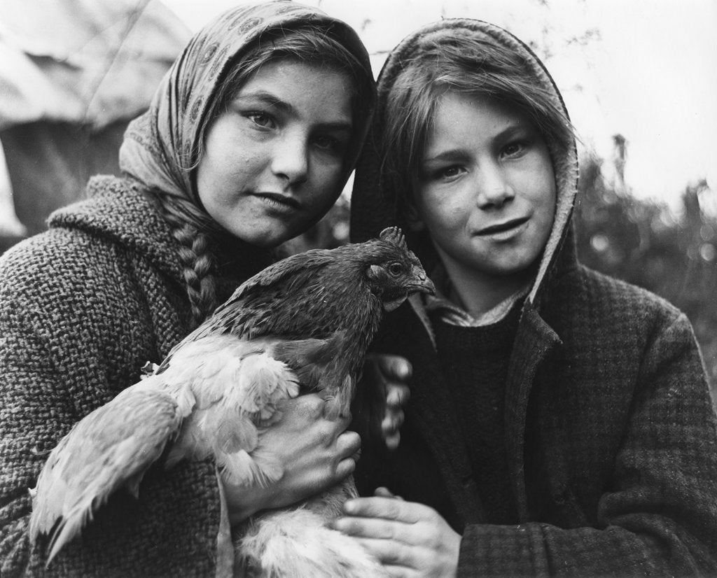 Detail of Janie and her brother, gipsy family, Charlwood, Surrey, 1964 by Tony Boxall