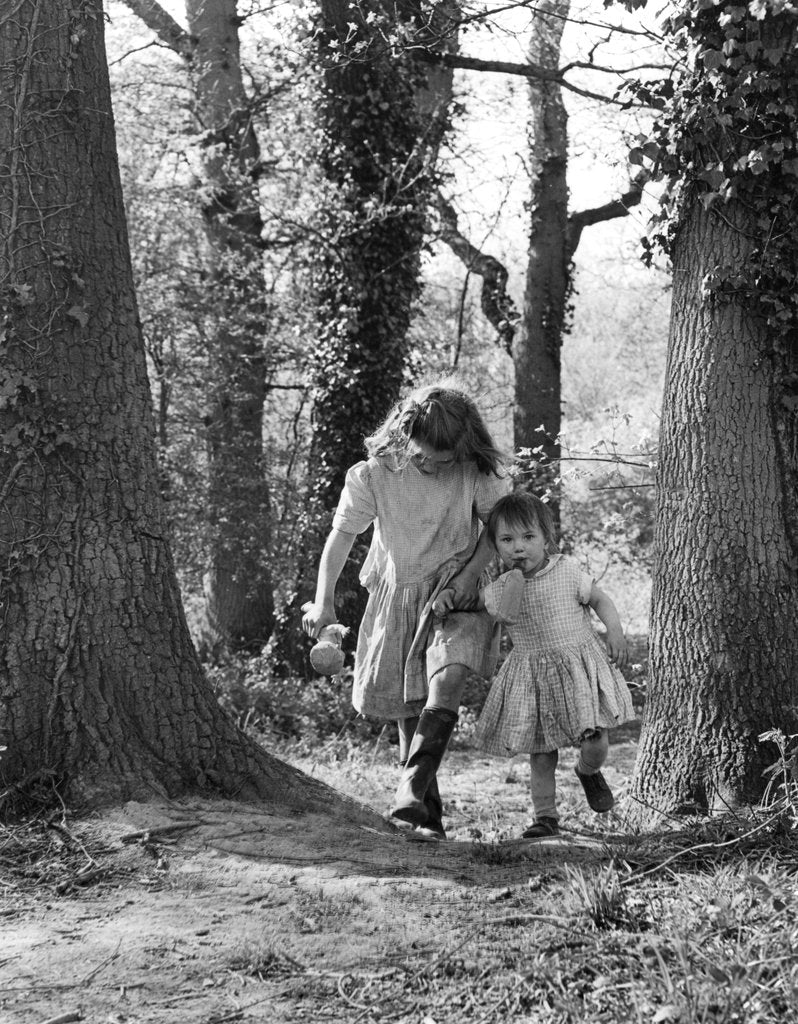 Detail of Janie and Daphne, gipsy girls, Charlwood, Surrey, 1964 by Tony Boxall