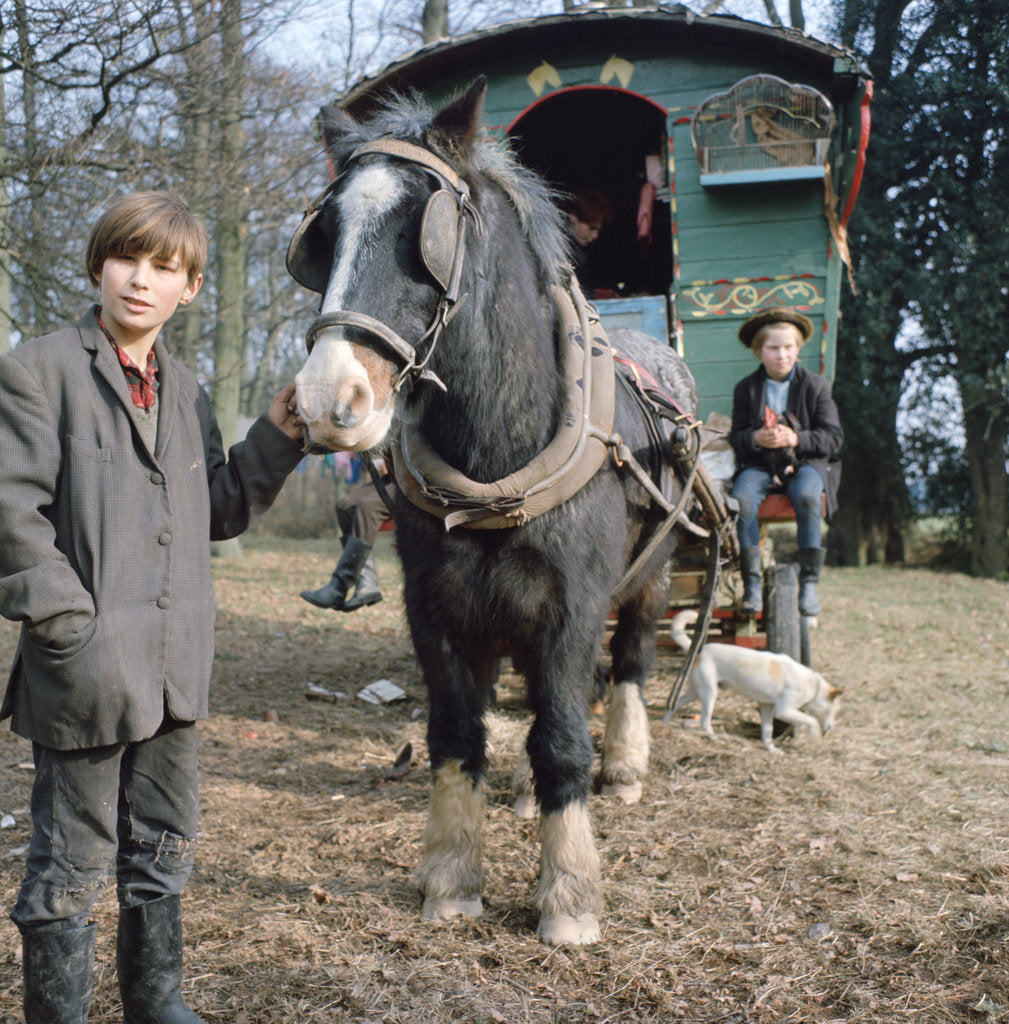 Detail of Gipsies with their horse-drawn caravan, Charlwood, Newdigate area, Surrey, 1964 by Tony Boxall