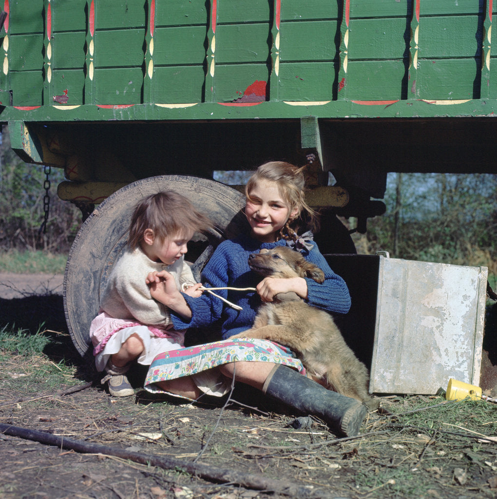 Detail of Two young gipsy girls playing with a dog, Charlwood, Newdigate area, Surrey, 1964 by Tony Boxall