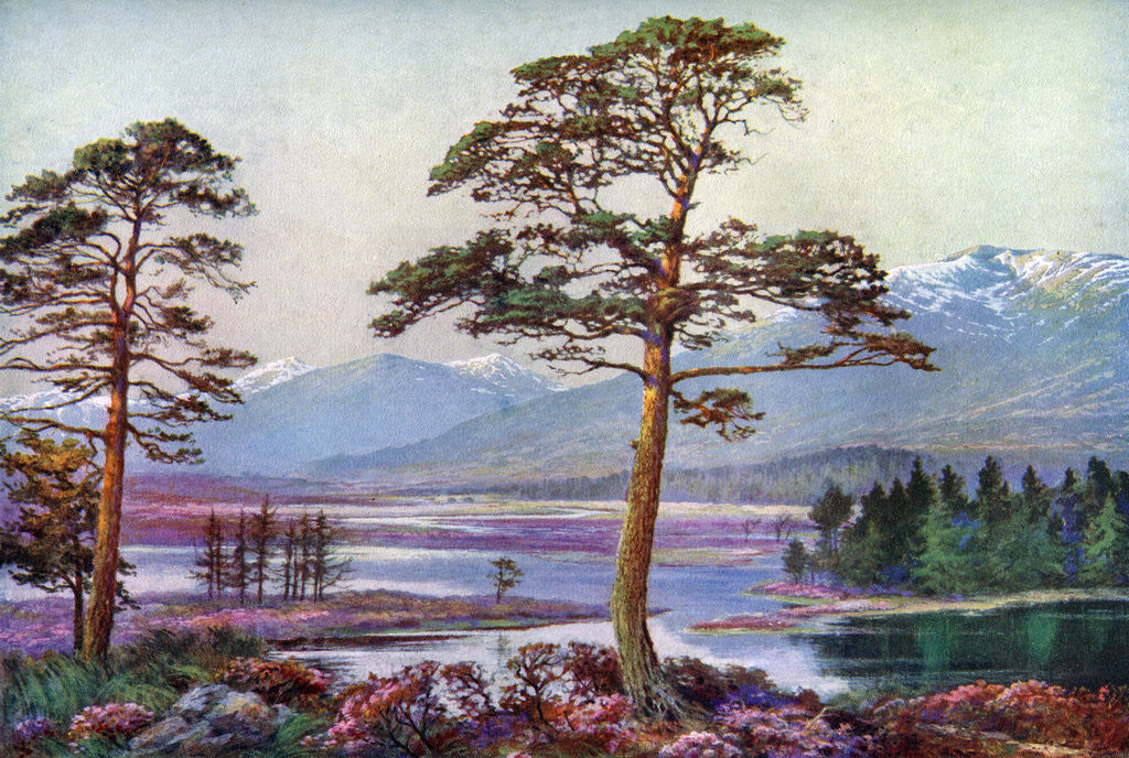 Detail of 'On Loch Tulla, Black Mount, Argyllshire', Scotland by FC Varley