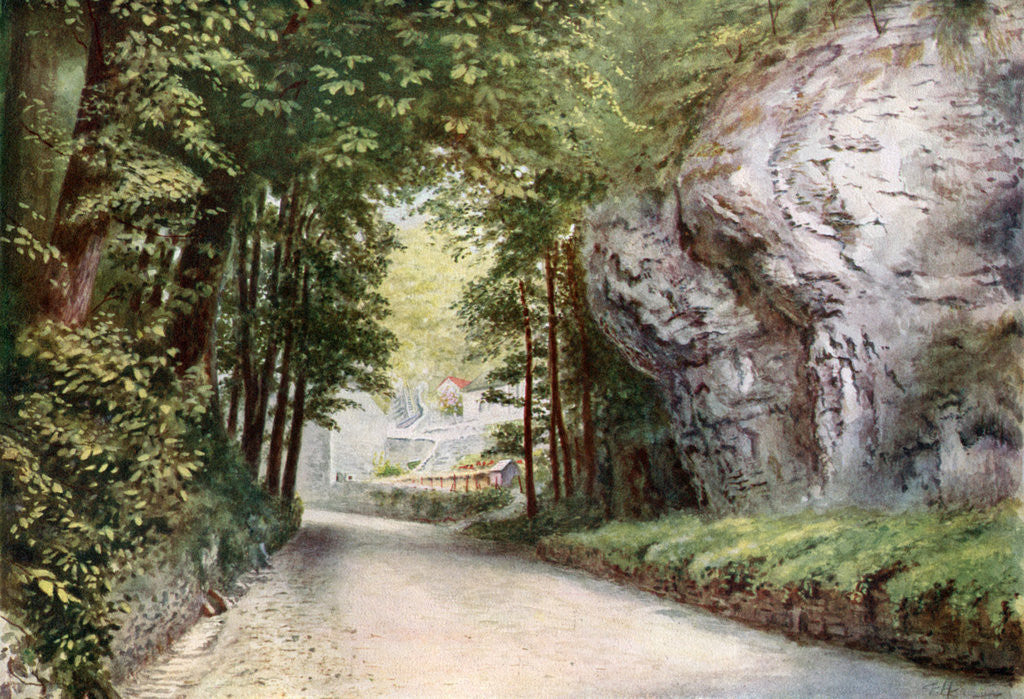 Detail of 'Stony Middleton', Derbyshire by Felix Harrand