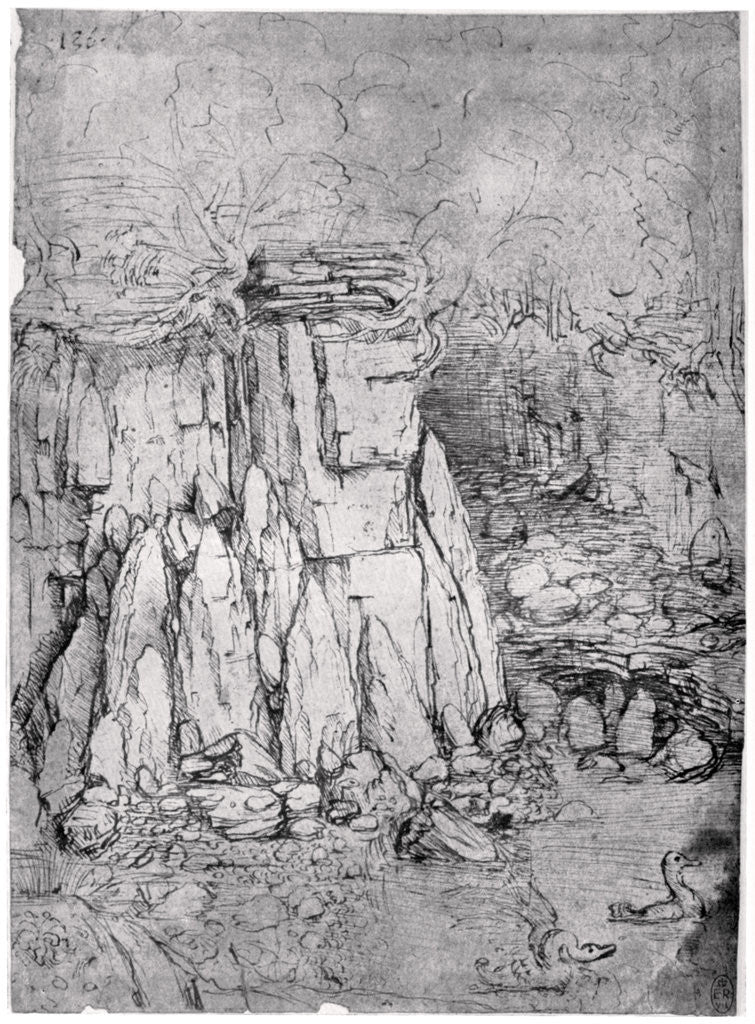 Detail of Study of a rocky cavern with ducks by Leonardo Da Vinci