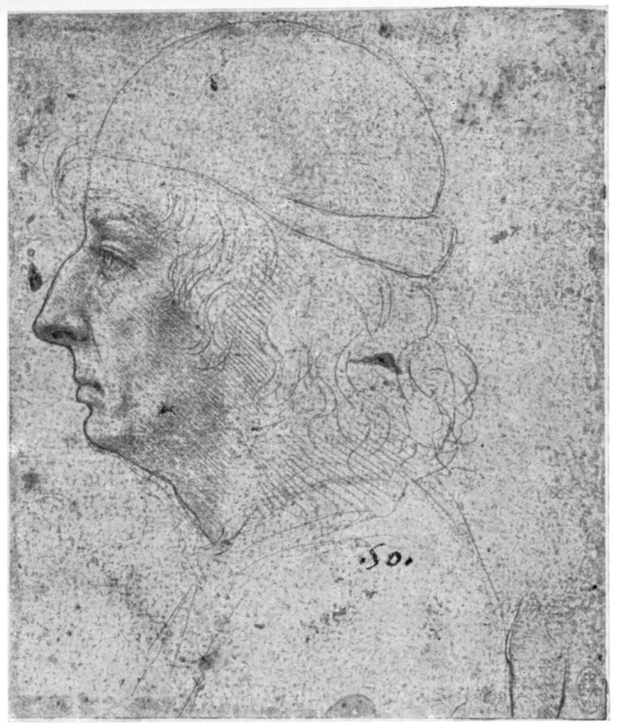 Detail of Portrait study of a man by Leonardo Da Vinci