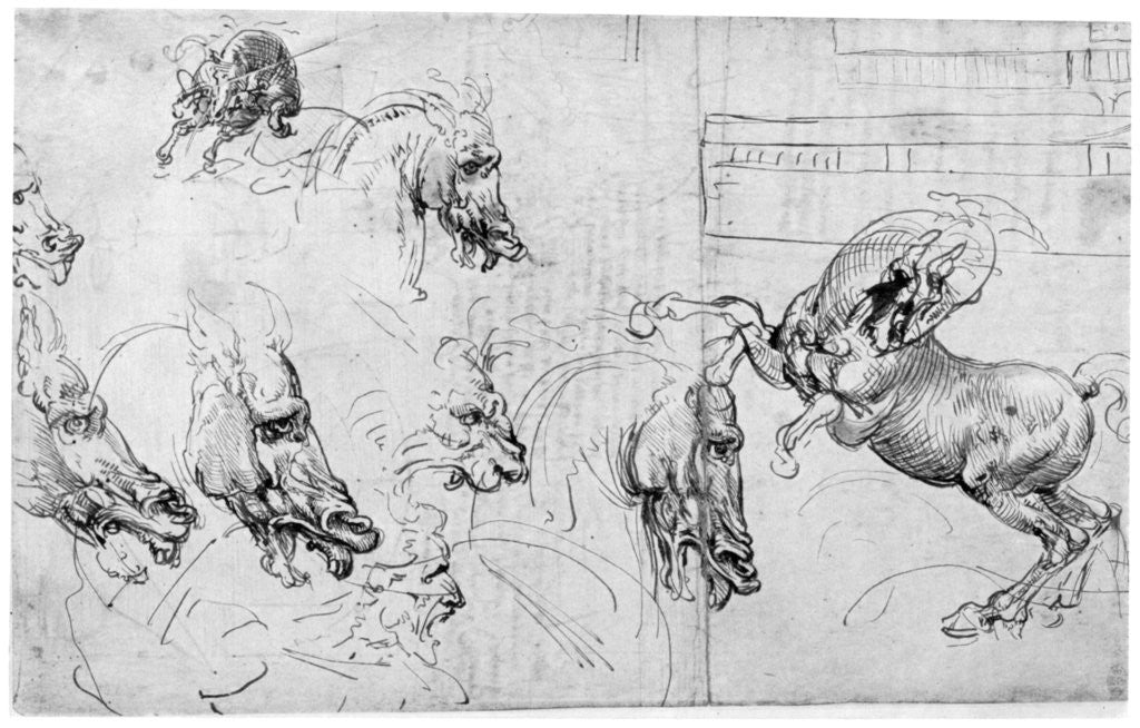 Detail of Study for 'The Battle of Anghiari' by Leonardo Da Vinci