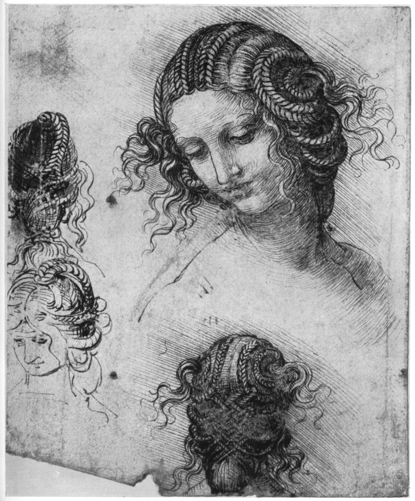 Detail of Study for the Head of Leda by Leonardo Da Vinci